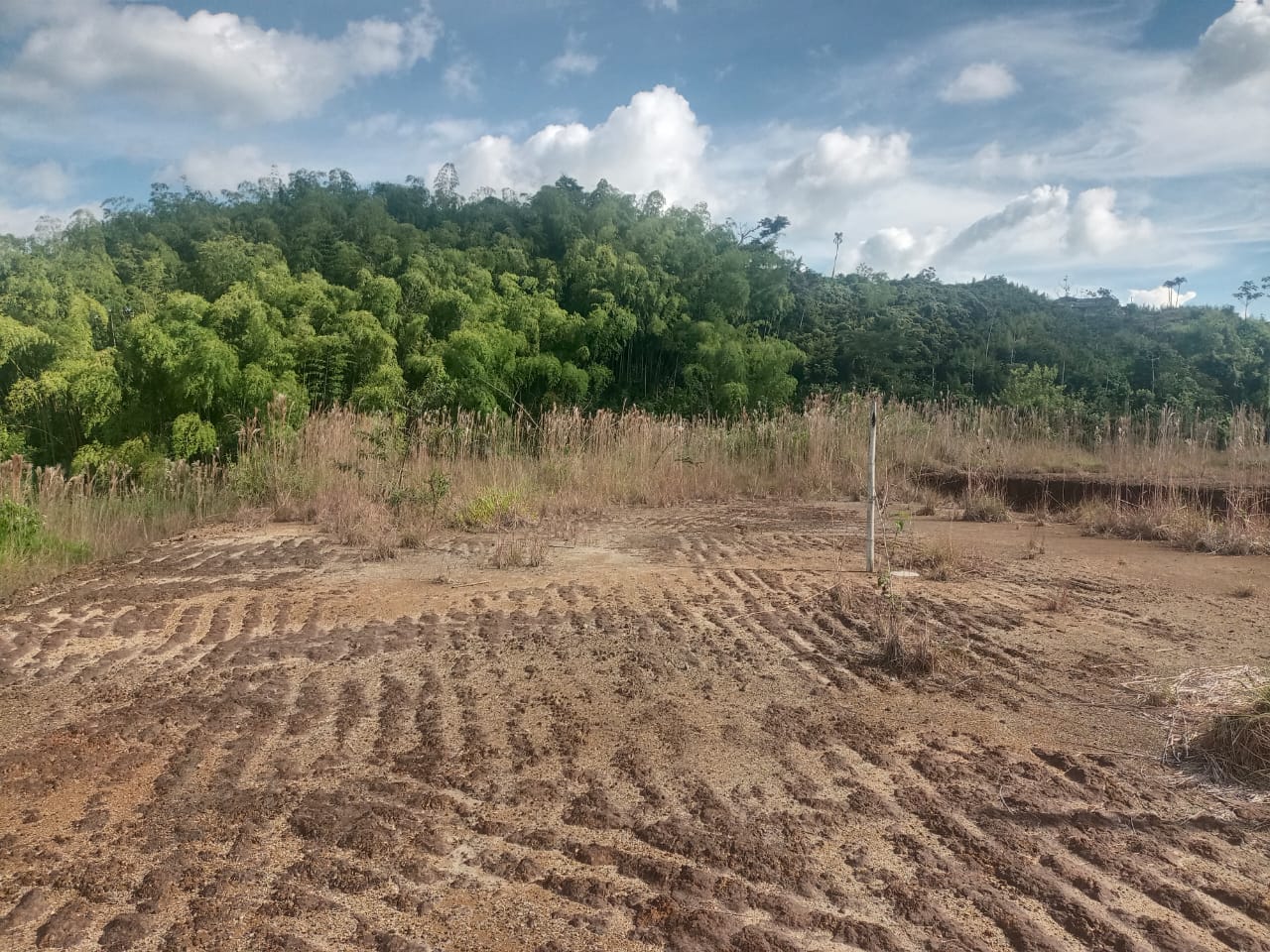 Foto de Lote / terreno en Venta en Via armenia, Pereira - 7 - 279052343