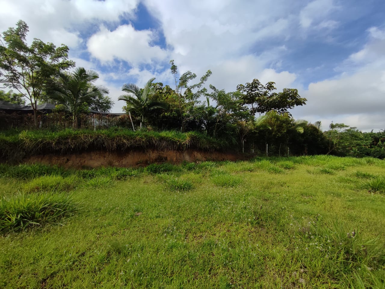 Foto de Lote / terreno en Venta en Cerritos, Pereira - 12 - 279063190