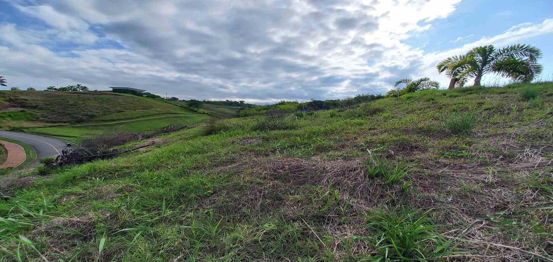 Foto de Lote / terreno en Venta en Cerritos, Pereira - 6 - 279067405