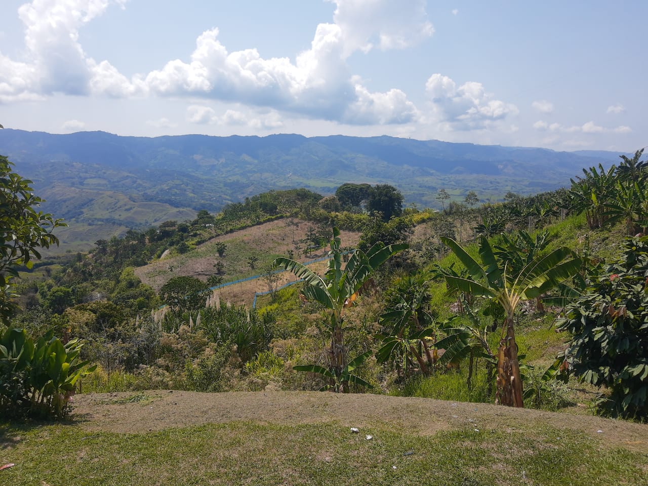 Foto de Finca en Venta en Barrio villa hermosa 2 y robelio suarez, Belen de umbria - 14 - 279056358