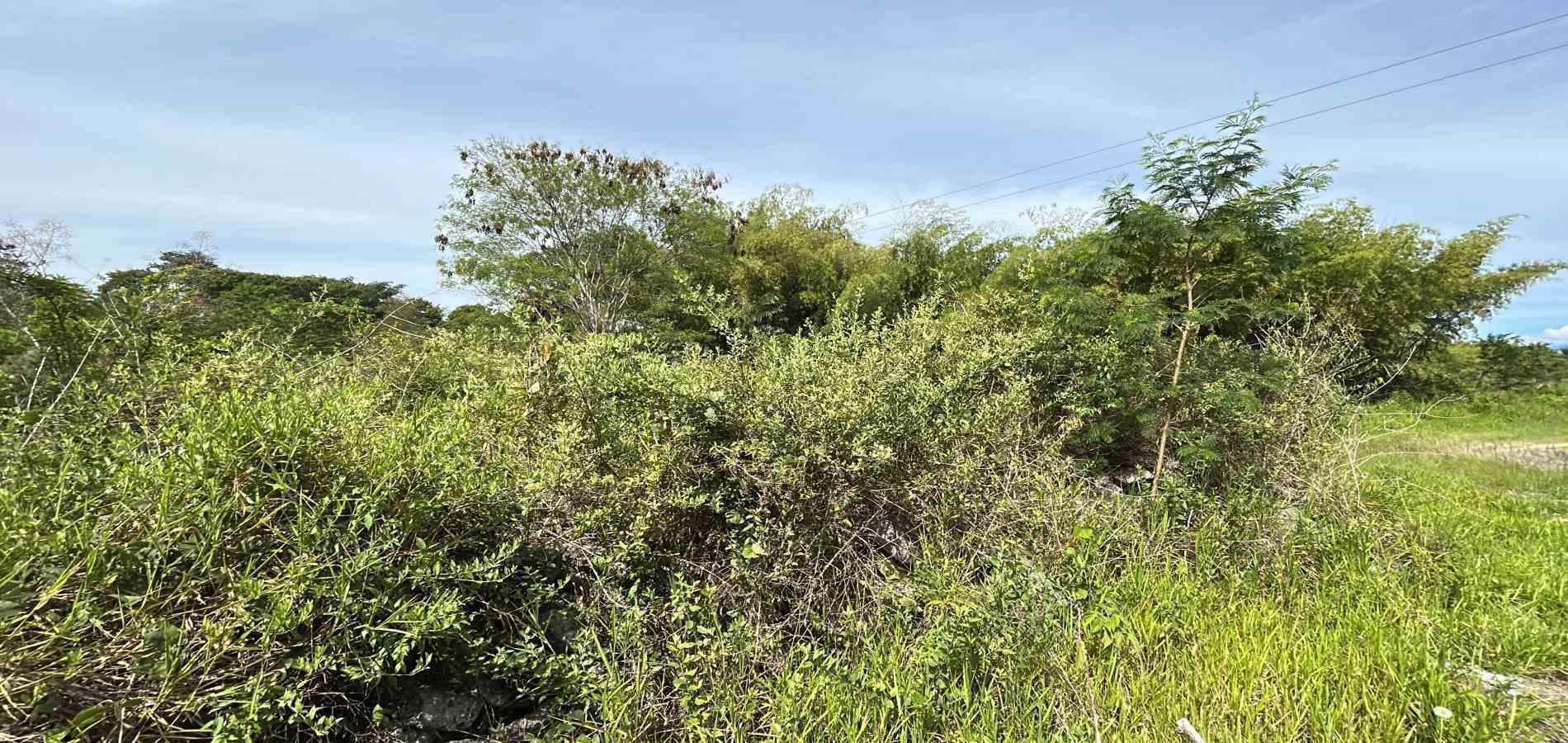 Foto de Lote / terreno en Venta en Cerritos, Pereira - 5 - 279068089