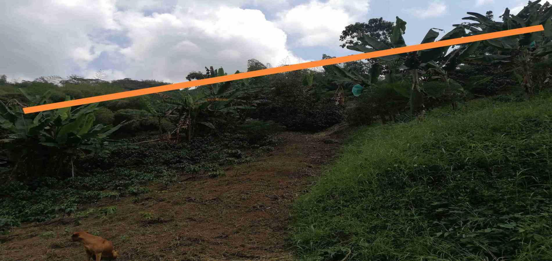 Foto de Lote / terreno en Venta en Centro, Santa rosa de cabal - 5 - 279056199