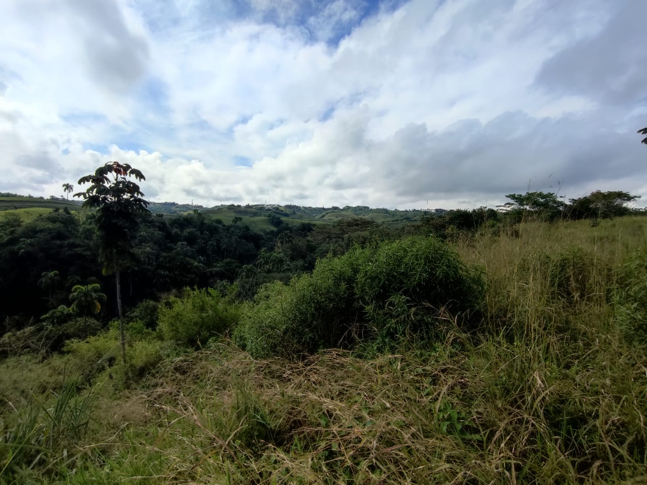 Foto de Lote / terreno en Venta en Cerritos, Pereira - 2 - 279063217