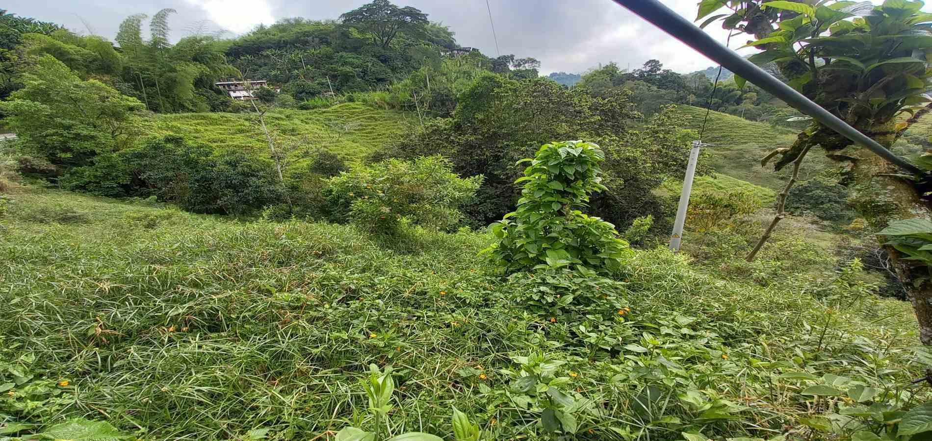 Foto de Lote / terreno en Venta en Vereda la trinidad, Manizales - 7 - 279062688