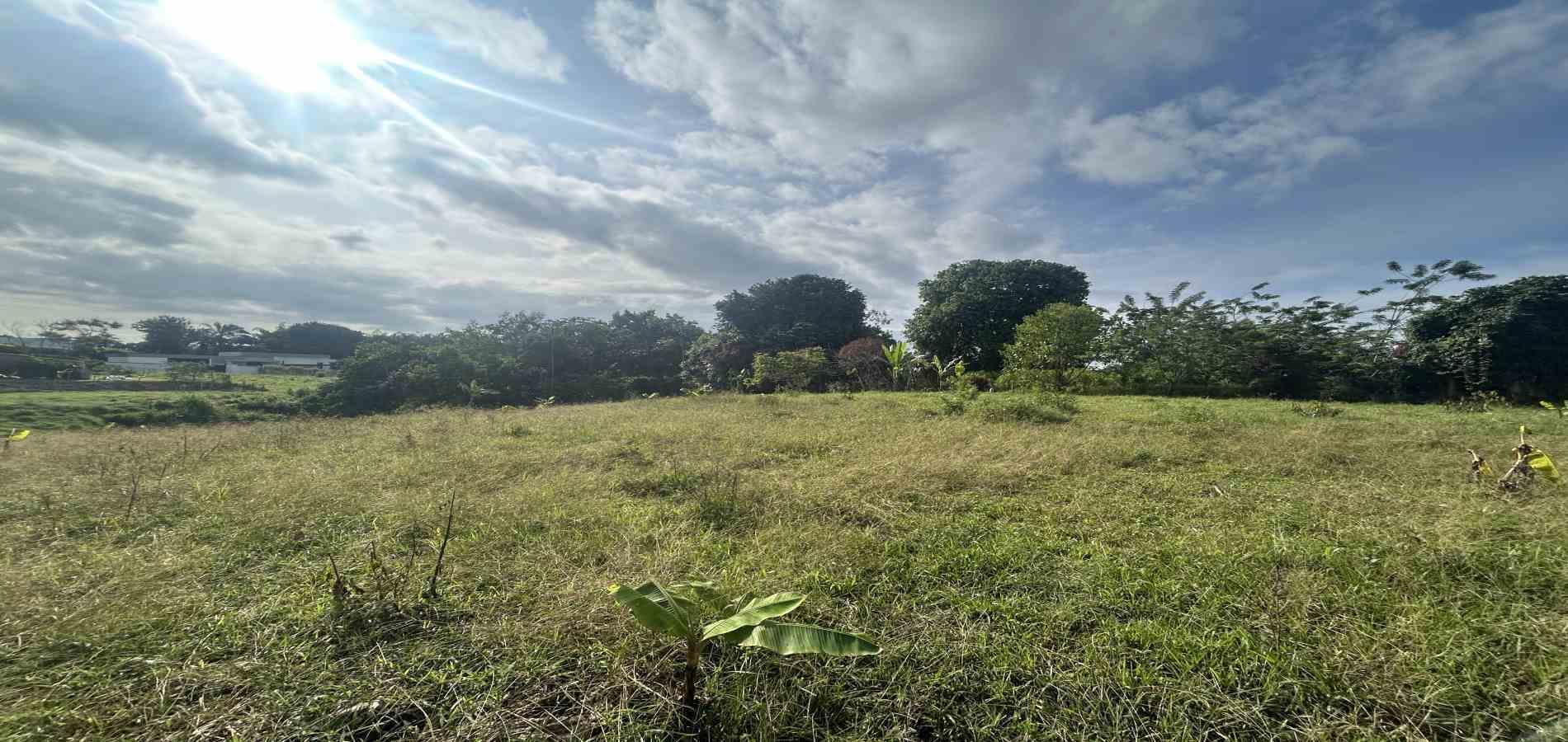 Foto de Lote / terreno en Venta en Cerritos / sector el tigre, Pereira - 4 - 279066751