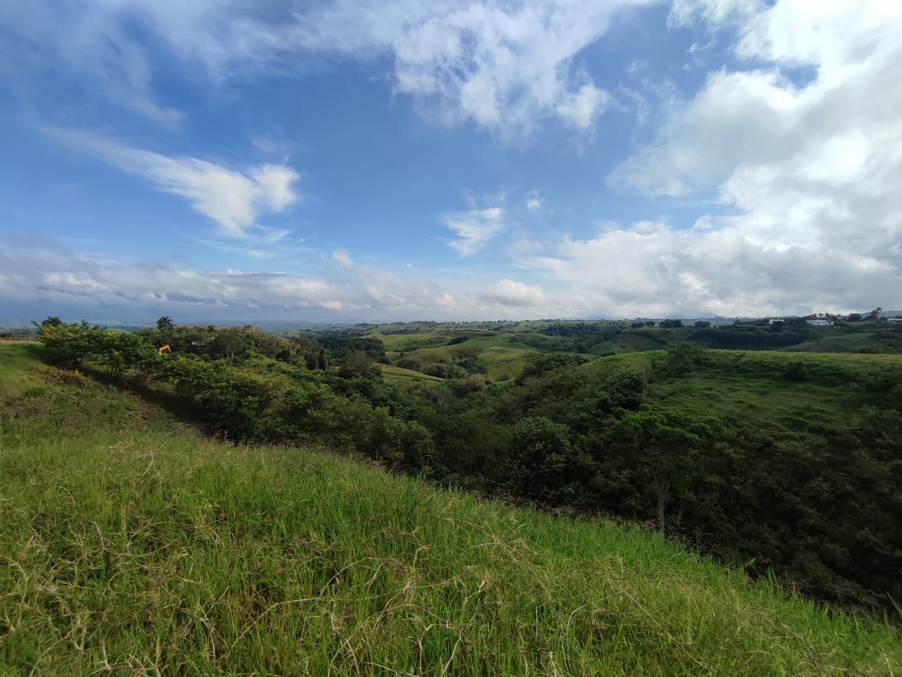 Foto de Lote / terreno para Venta en Centro, Pereira - 279063216