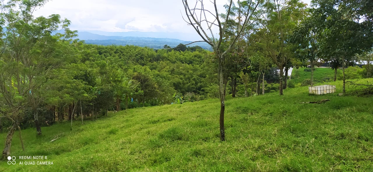 Foto de Lote / terreno en Venta en Altagracia, Pereira - 6 - 279057421