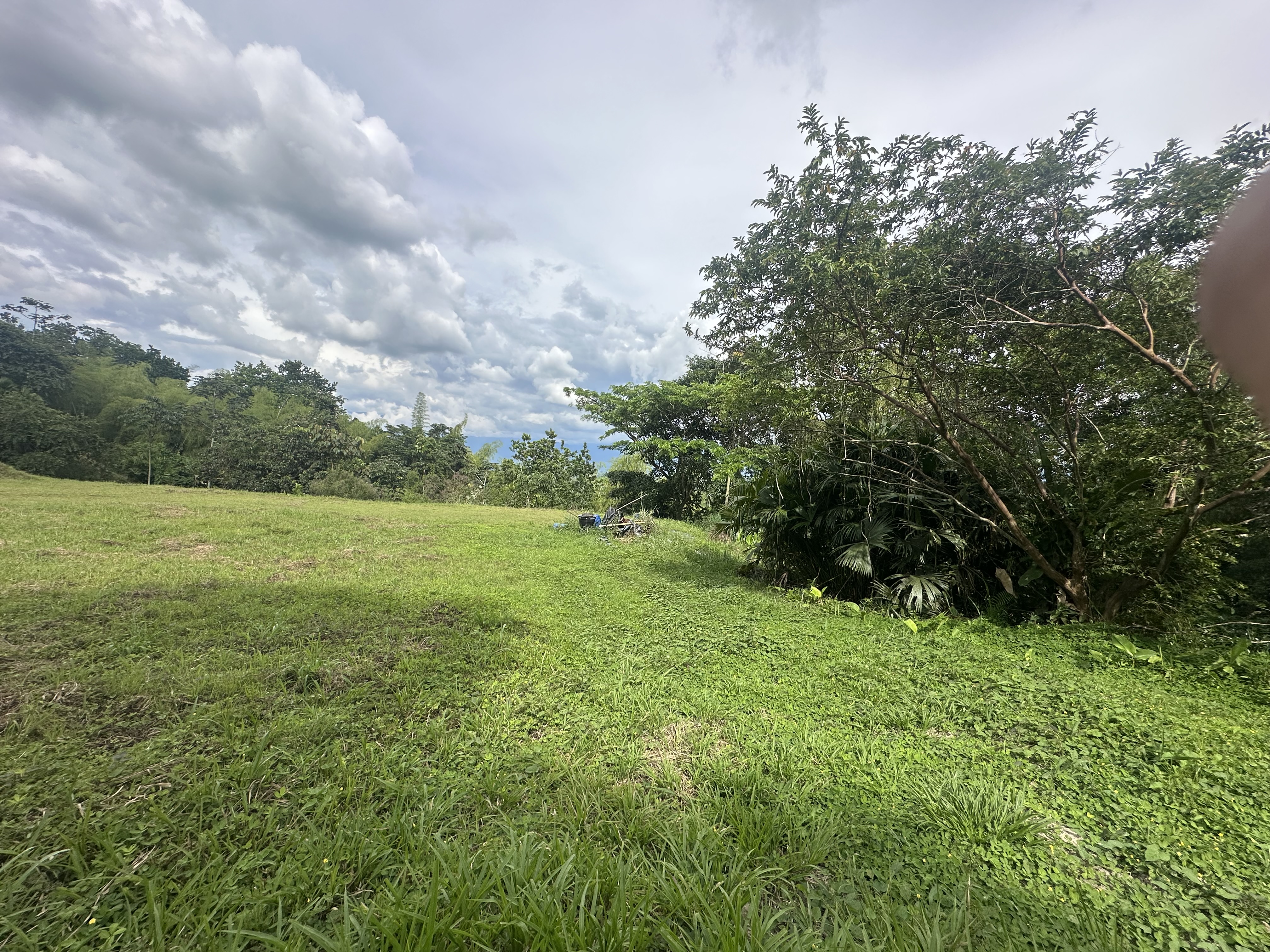 Foto de Lote / terreno para Venta en Via al valle, Armenia  - 279068482
