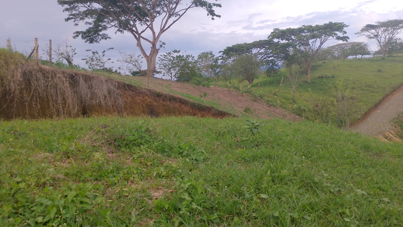 Foto de Lote / terreno en Venta en Armenia, Armenia  - 11 - 279067125