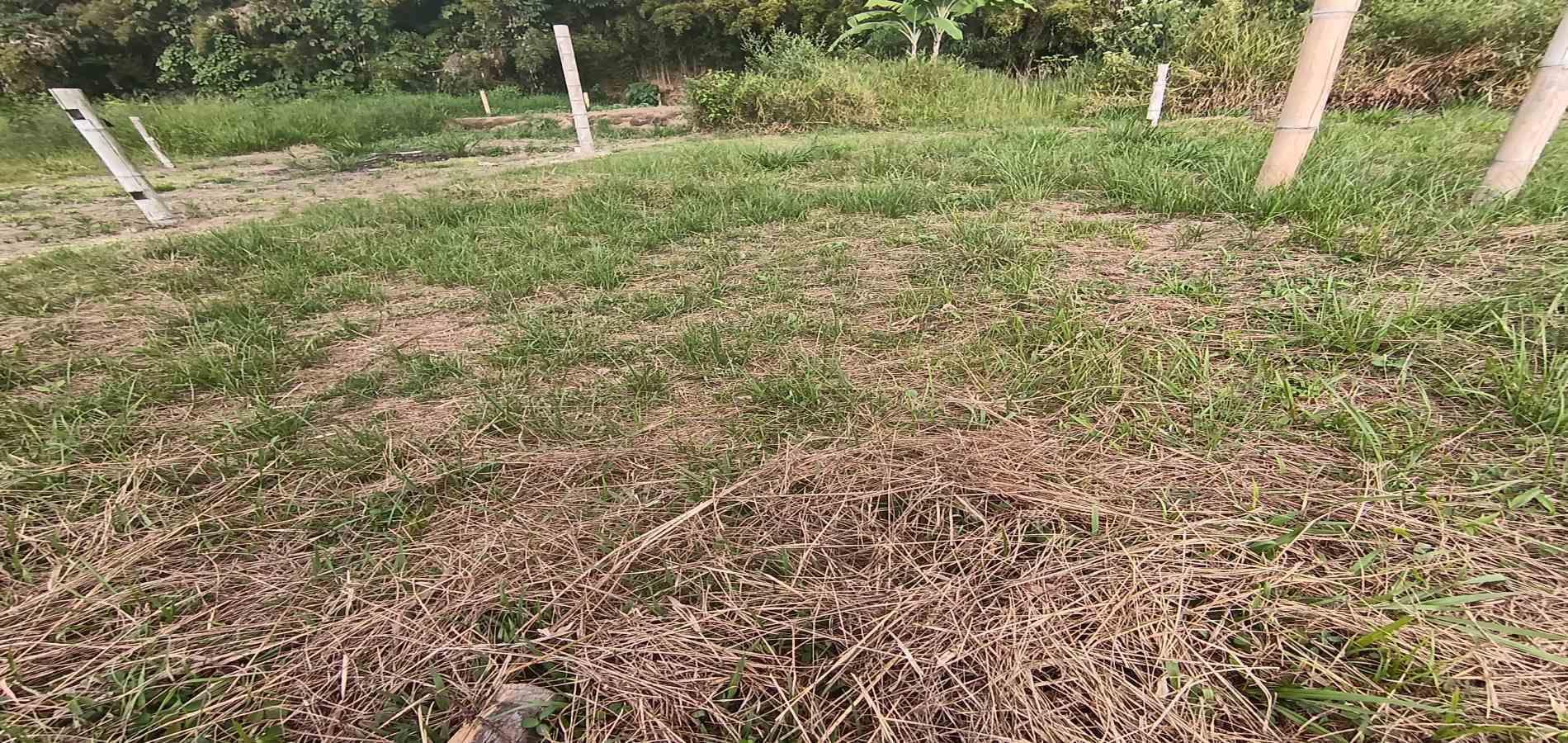 Foto de Lote / terreno en Venta en UrbanizaciÓn santana, Armenia  - 2 - 279059323