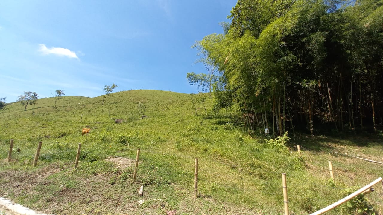 Foto de Lote / terreno en Venta en Vereda santagueda, Palestina - 8 - 279058796