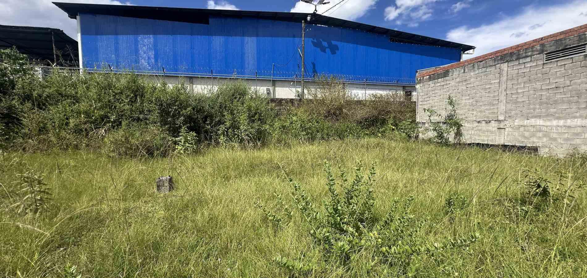 Foto de Lote / terreno en Arriendo en Mariposario, Calarca - 5 - 279069209