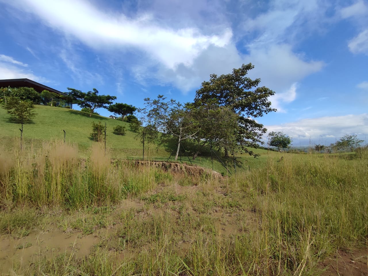 Foto de Lote / terreno en Venta en Cerritos, Pereira - 7 - 279063217