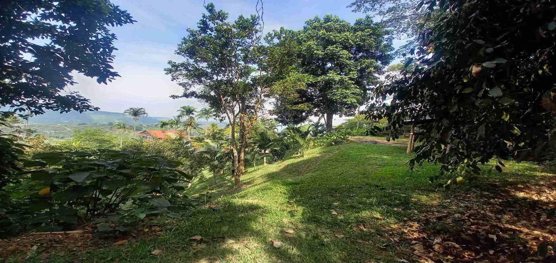 Foto de Lote / terreno en Venta en San peregrino, Manizales - 14 - 279056638
