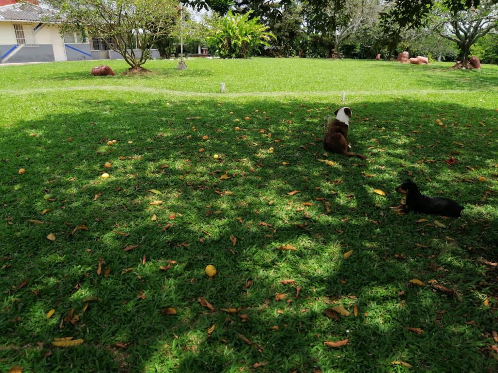 Foto de Lote / terreno en Venta en Cerritos, Pereira - 10 - 279025576