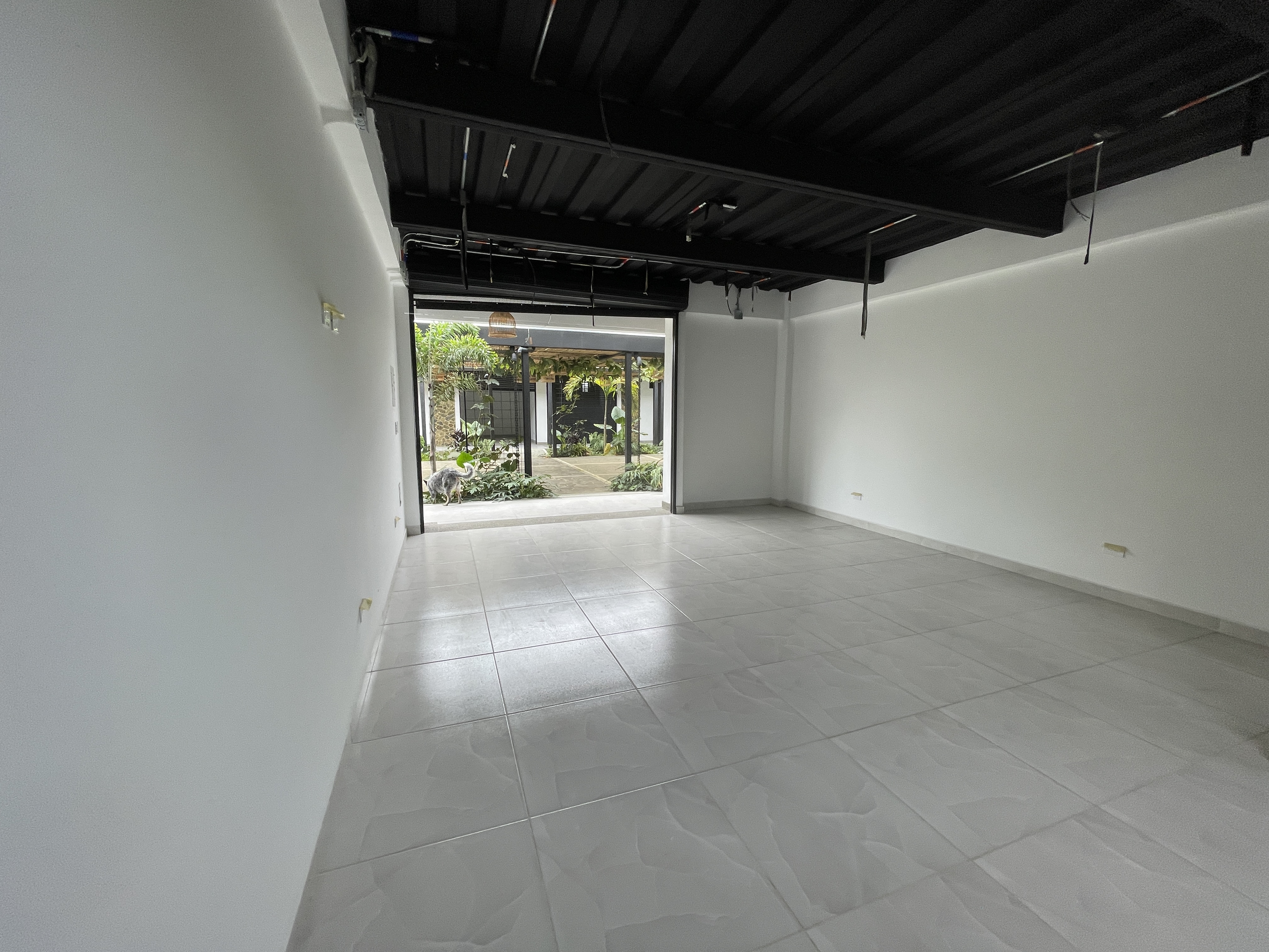 Foto de Local en Arriendo en Km 2 via armenia, Circasia - 9 - 279064352