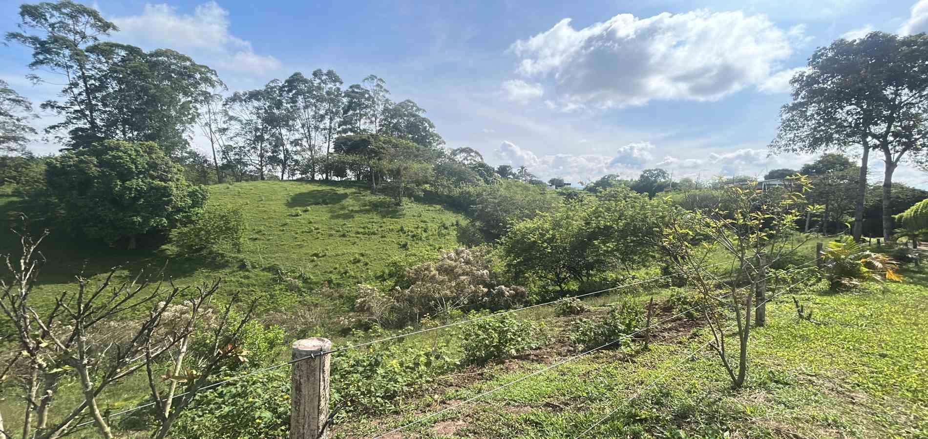 Foto de Lote / terreno en Venta en Via alcala, Pereira - 4 - 279066756