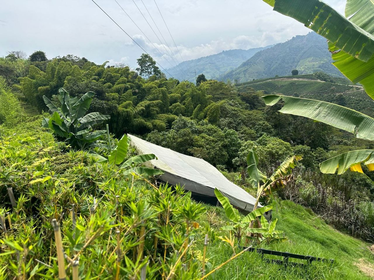 Foto de Finca en Venta en Vereda agua bonita, Manizales - 19 - 279054035
