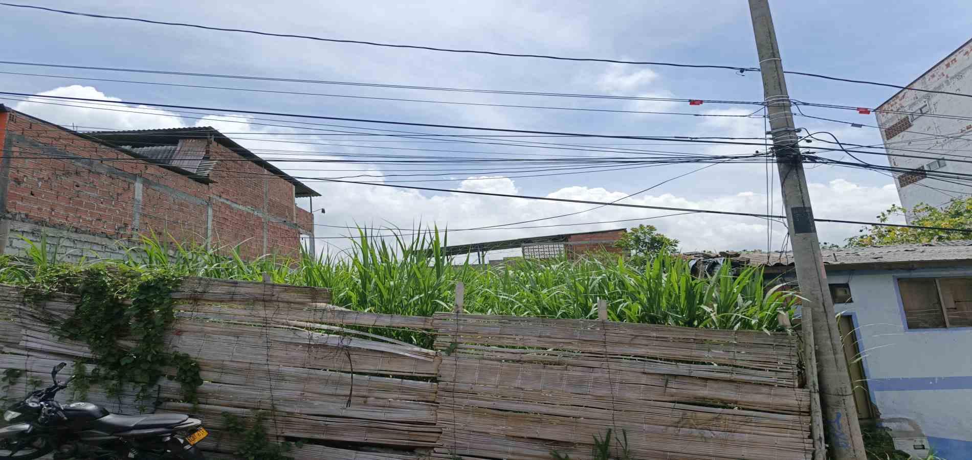 Foto de Lote / terreno en Venta en Altos del portal, Villamaria - 10 - 279068161