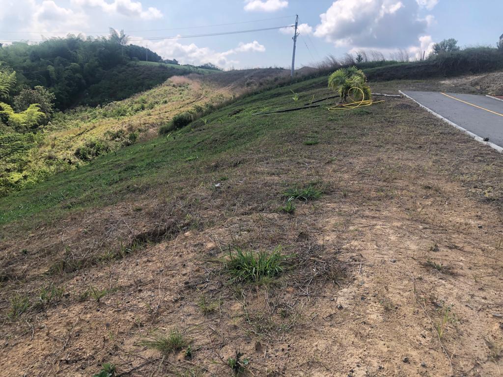 Foto de Lote / terreno en Venta en Cerritos, Pereira - 5 - 2790555100