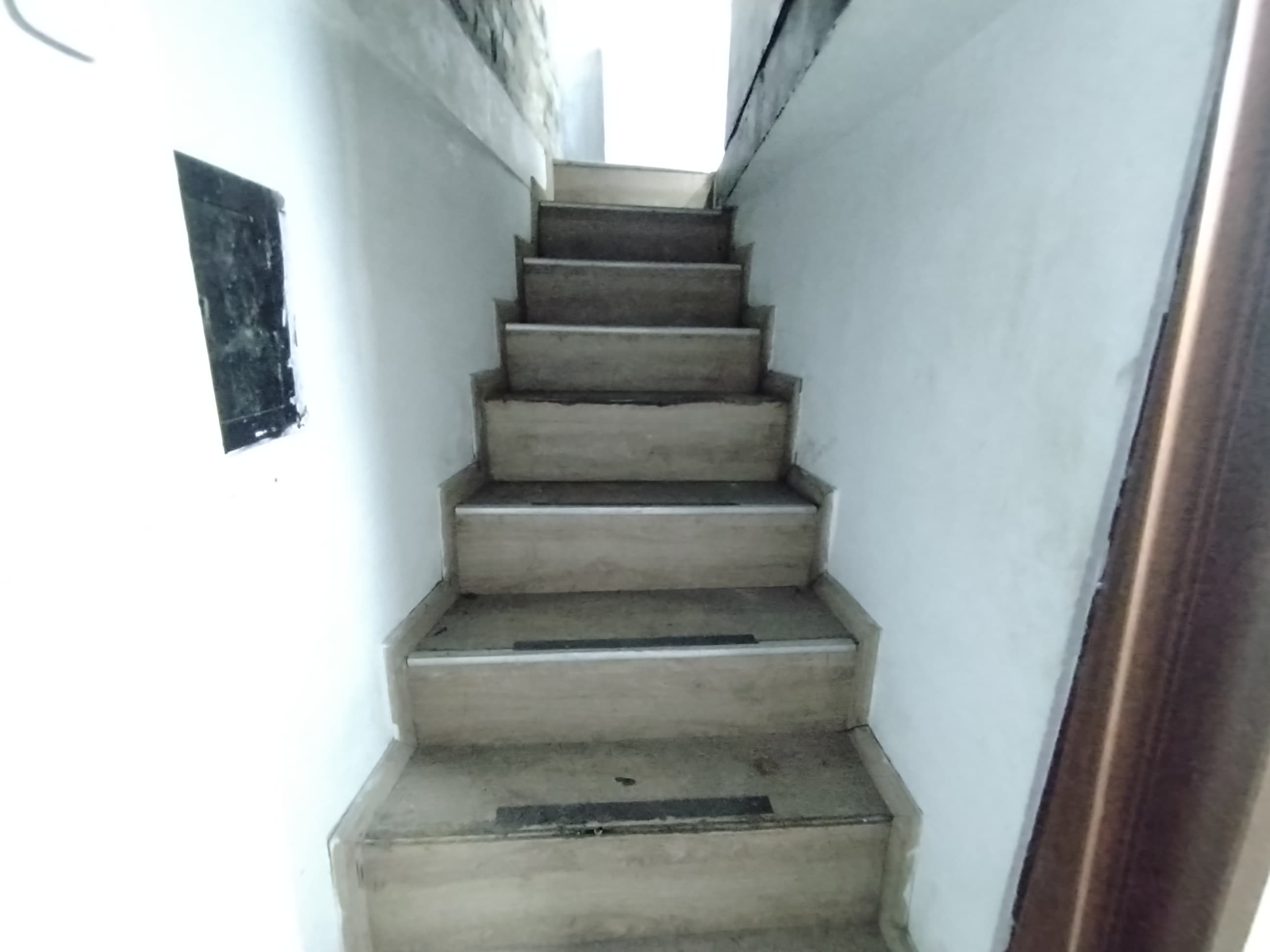 Foto de Local para Arriendo en Circunvalar, Pereira - 51359