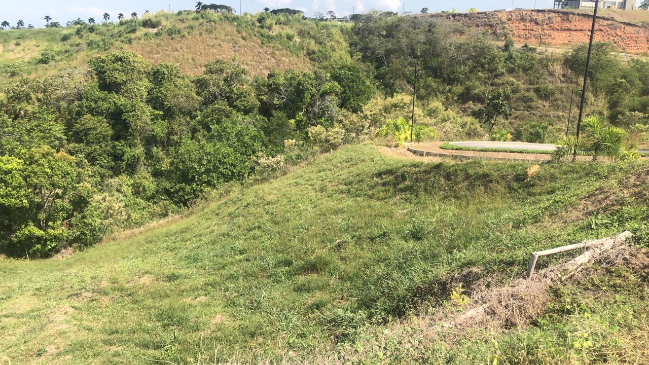 Foto de Lote / terreno para Venta en Cerritos, Pereira - 279055628