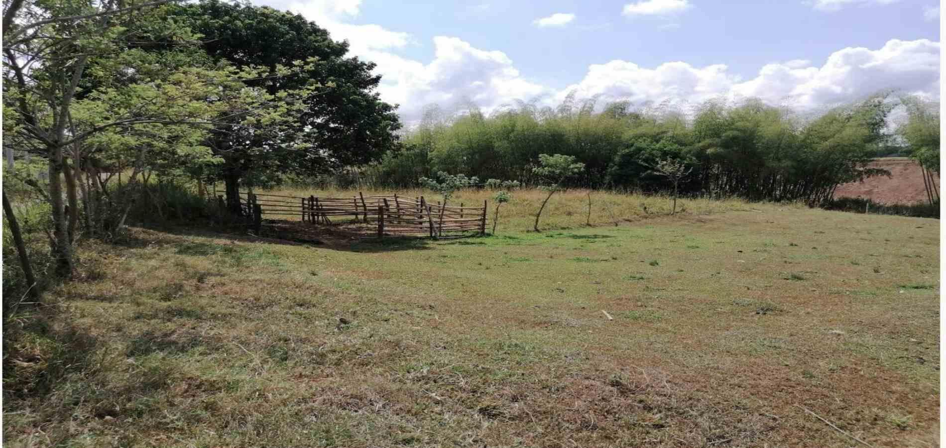 Foto de Lote / terreno en Venta en Cerritos, Pereira - 1 - 2791024501