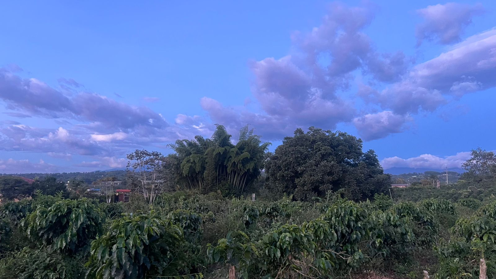 Foto de Lote / terreno en Venta en La mesa, Quimbaya - 6 - 279063865