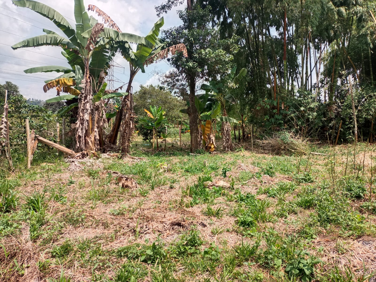 Foto de Lote / terreno en Venta en Santa rosa de cabal, Santa rosa de cabal - 4 - 279059203