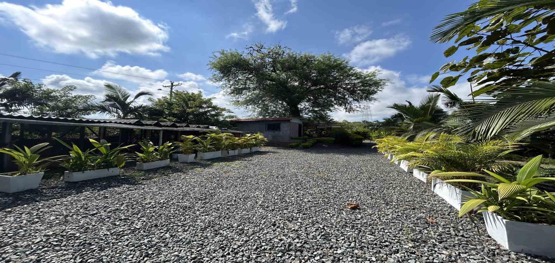 Foto de Lote / terreno para Venta en Cerritos, Pereira - 279068246