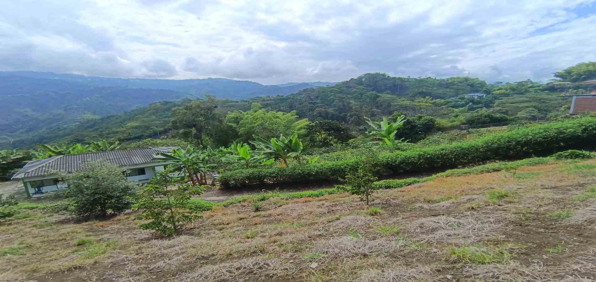 Foto de Casa en Venta en San peregrino, Manizales - 3 - 279070004