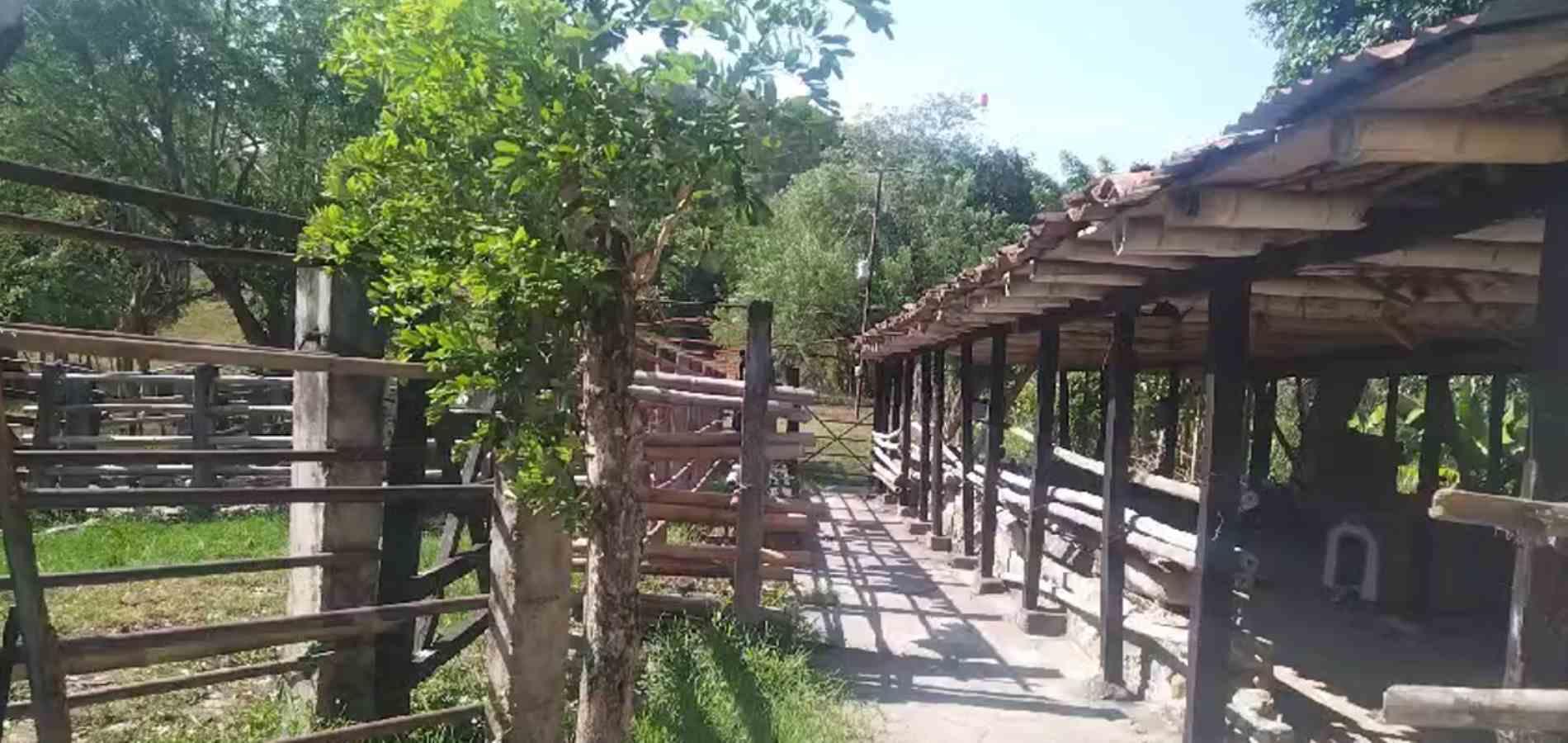 Foto de Finca en Venta en La florida, Filadelfia - 11 - 279064213