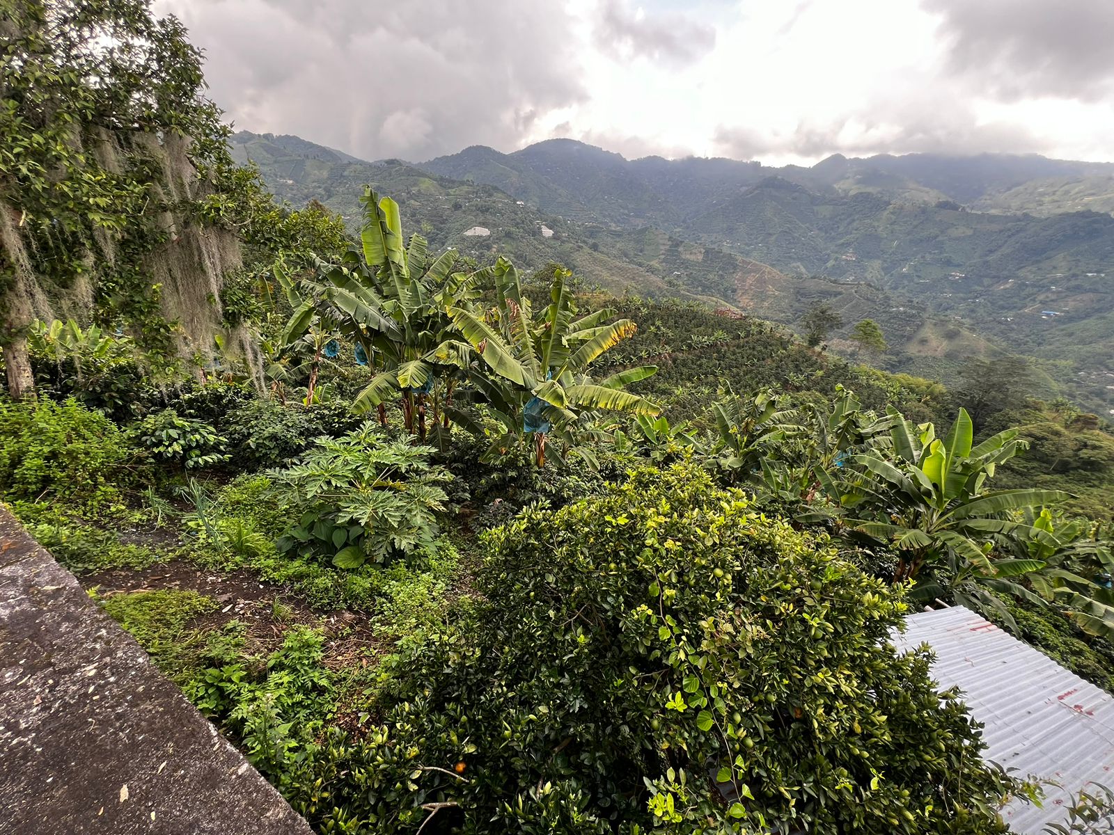 Foto de Finca en Venta en San vicente, Pereira - 16 - 279057869