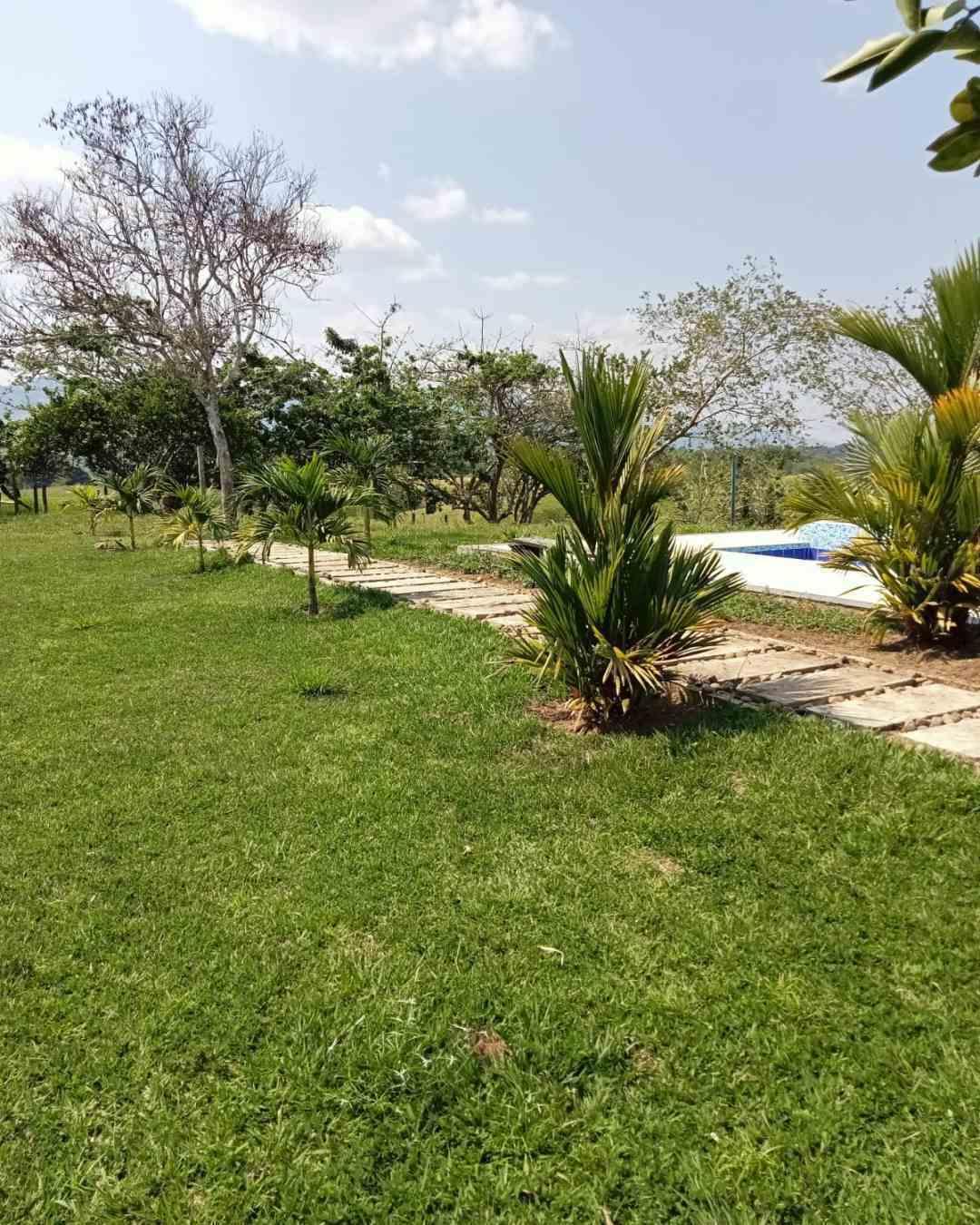 Foto de Finca en Venta en Vereda la julia, Alamos de poporo 103 t 8 - 9 - 279062428