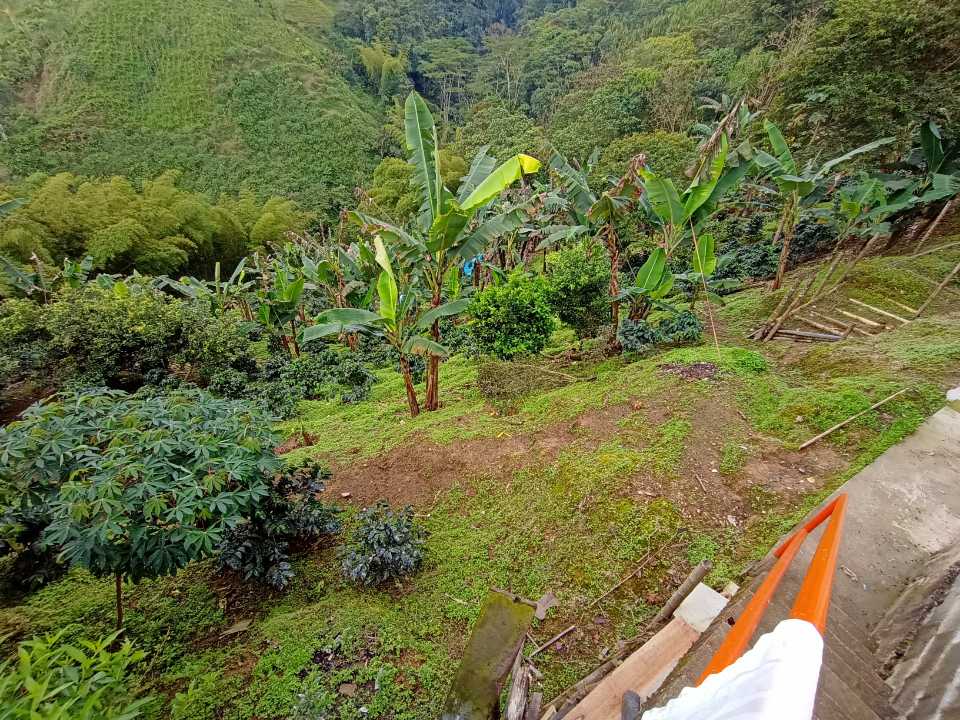 Foto de Finca en Venta en Comuna 10/la romelia, Dosquebradas - 2 - 279060854