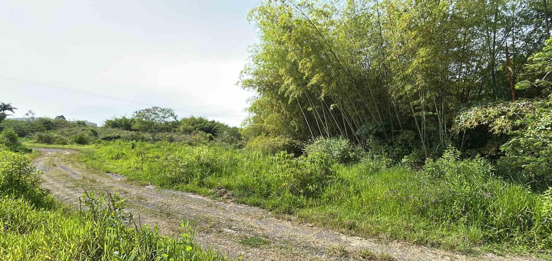 Foto de Lote / terreno en Venta en Cerritos, Pereira - 18 - 279068089