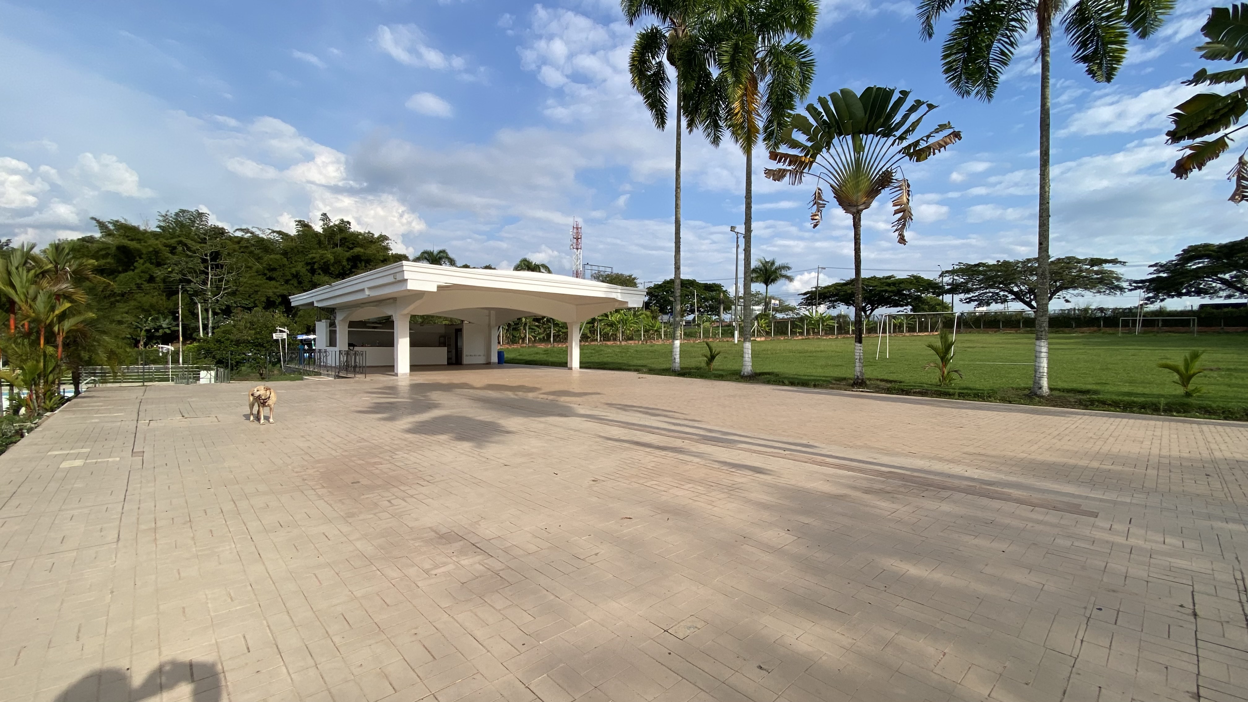 Foto de Casa en Arriendo en Cerritos, Pereira - 27 - 279066219