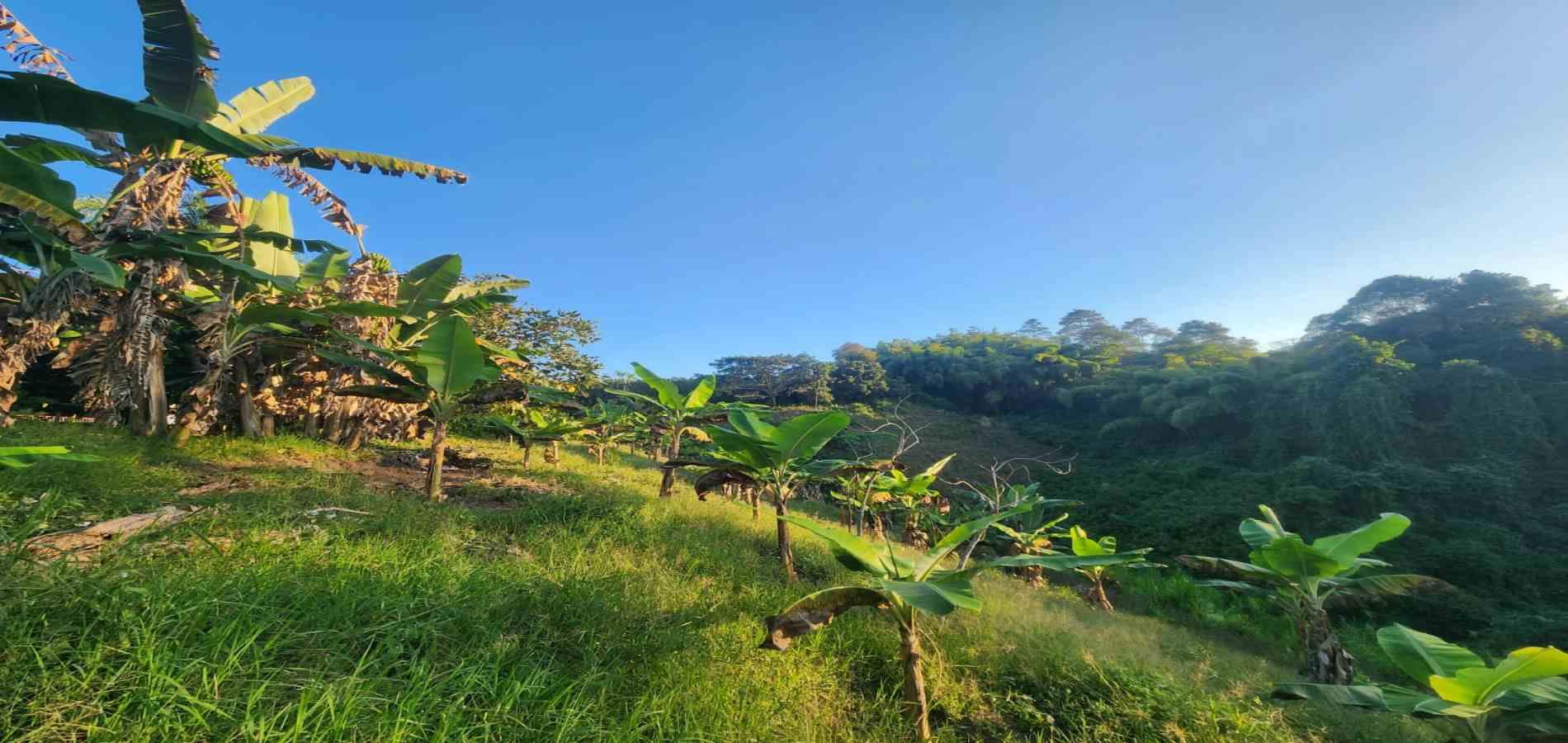 Foto de Finca en Venta en Filandia, Filandia - 10 - 279066535