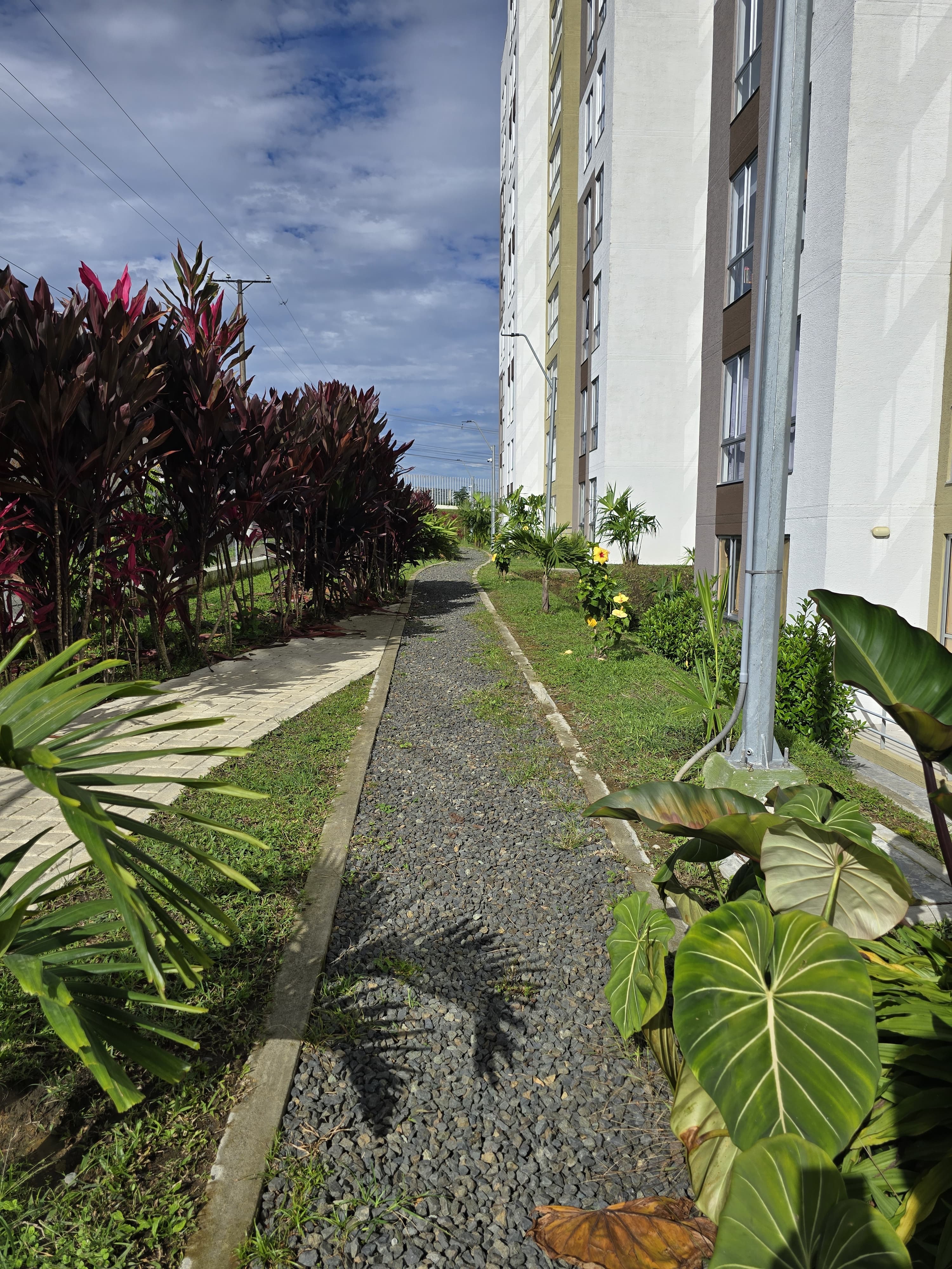 Foto de Apartamento en Venta en La pradera, Dosquebradas - 1 - 279063542