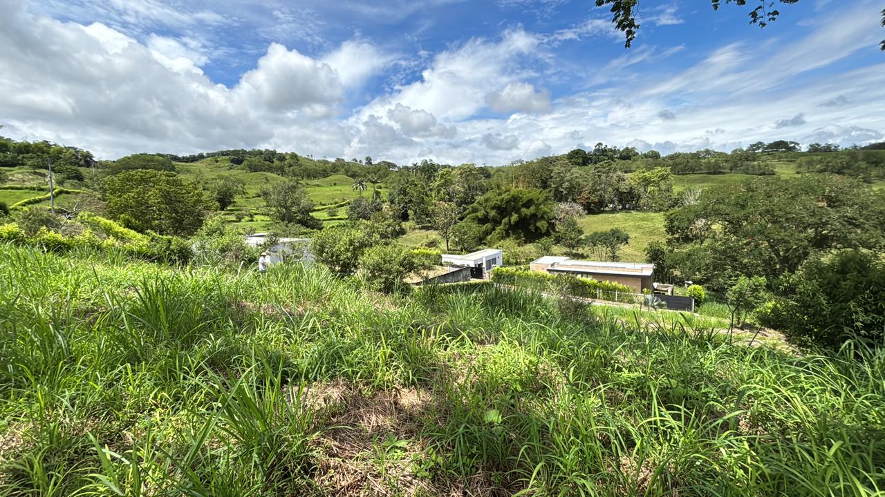 Foto de Lote / terreno en Venta en Kilometro 46, Neira - 4 - 279066726