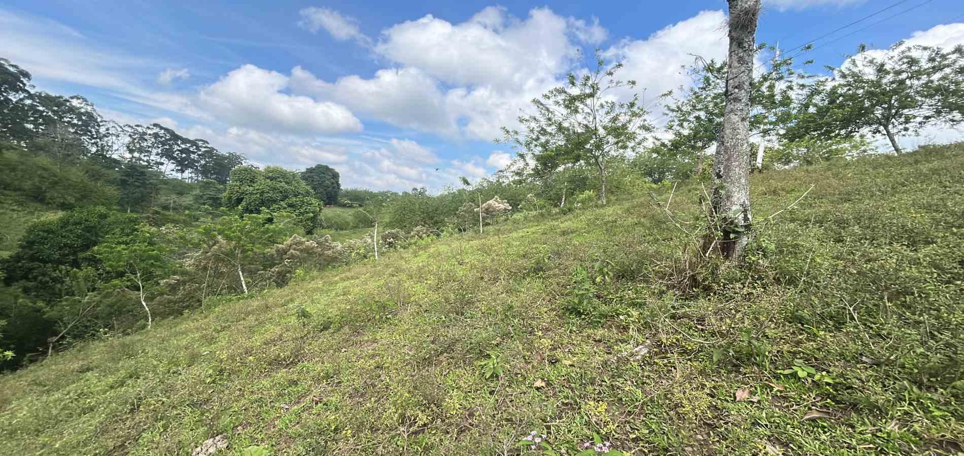 Foto de Lote / terreno en Venta en Via alcala, Pereira - 1 - 279066762