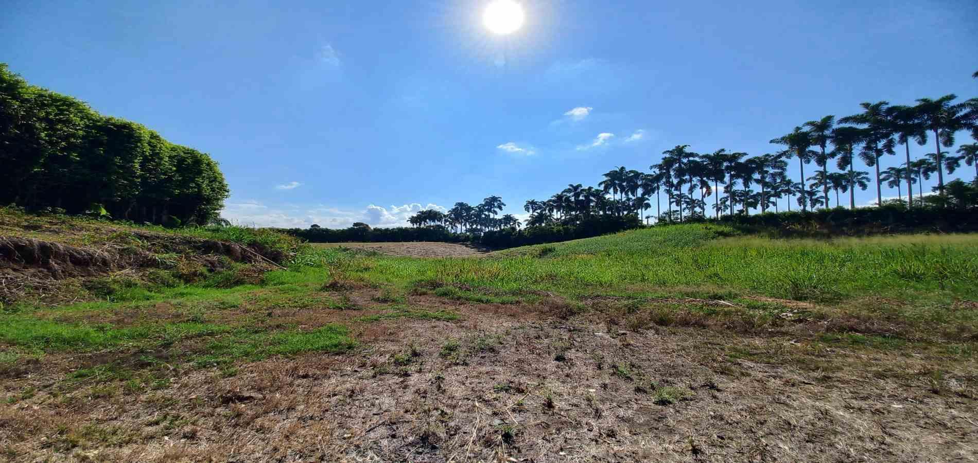 Foto de Lote / terreno en Venta en Cerritos, Pereira - 3 - 279069860
