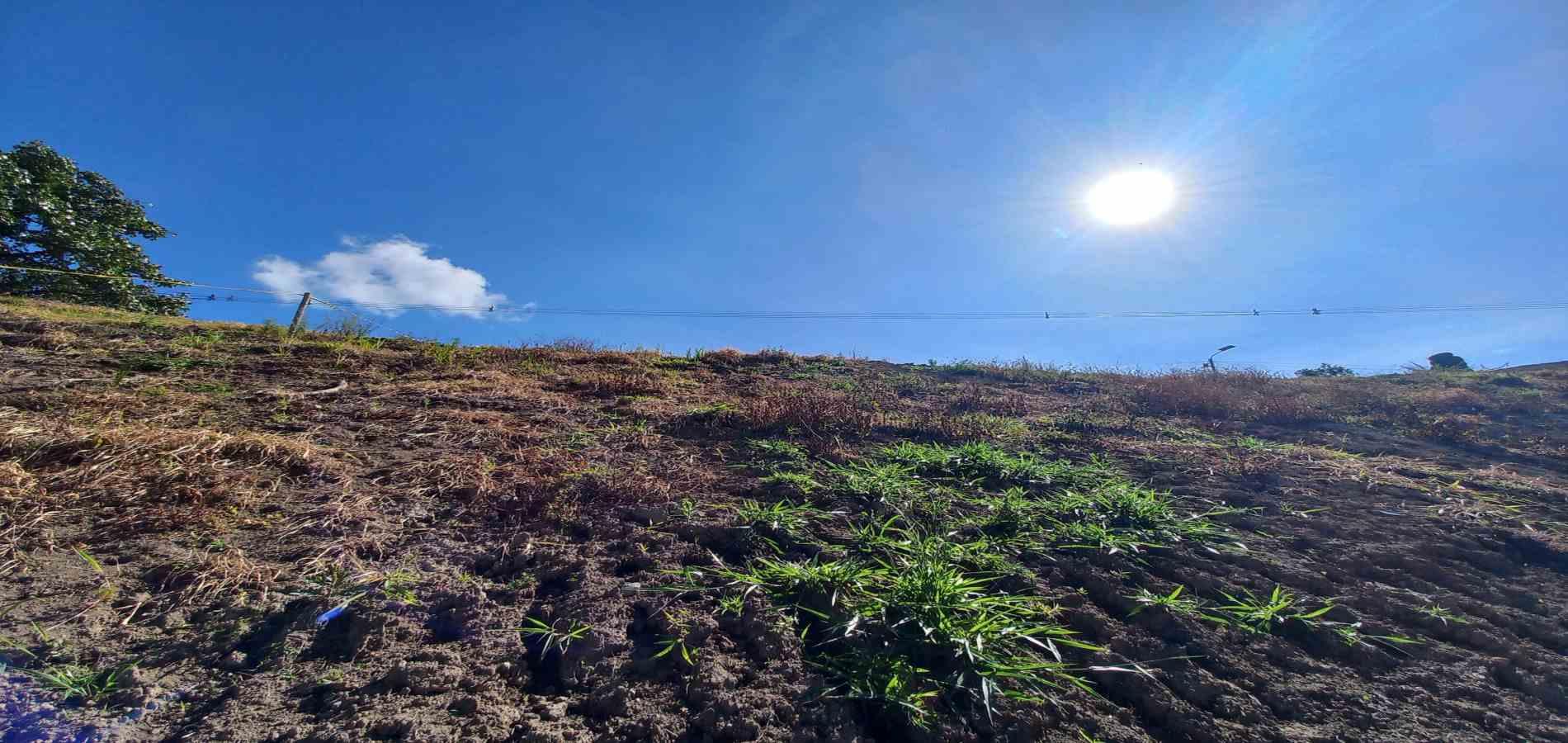 Foto de Lote / terreno en Venta en Vereda guacas, Santa rosa de cabal - 7 - 279067578