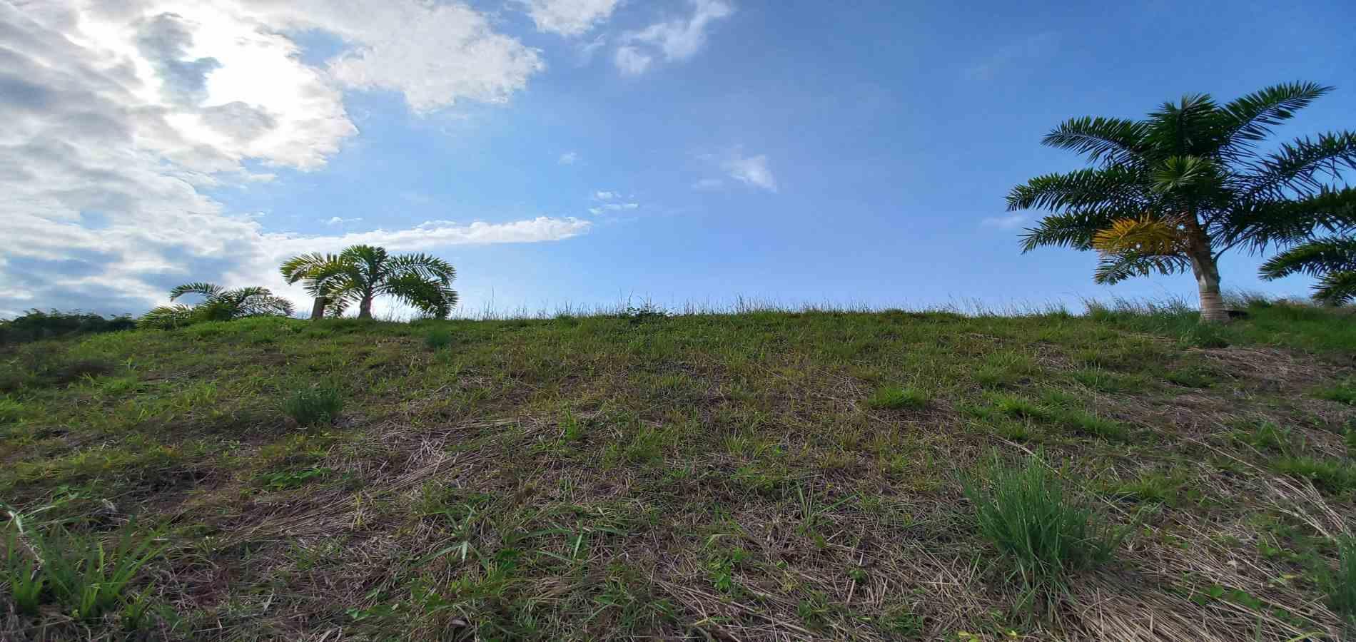 Foto de Lote / terreno en Venta en Cerritos, Pereira - 7 - 279067405