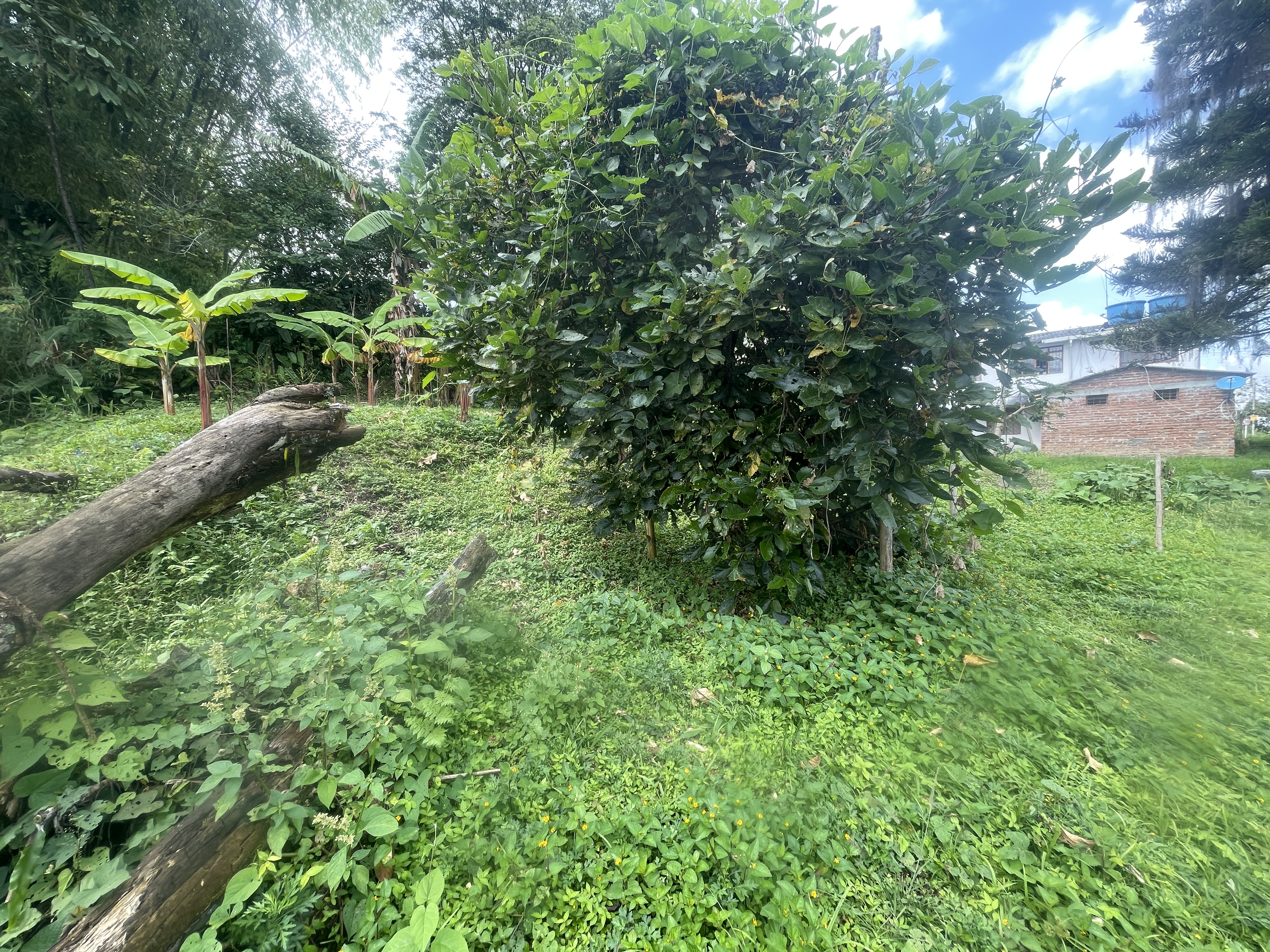 Foto de Lote / terreno en Venta en Av bolivar, Armenia  - 3 - 279065795