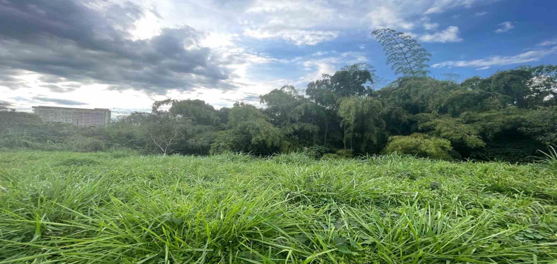 Foto de Lote / terreno en Venta en Avenida centenario, Armenia  - 6 - 279063188