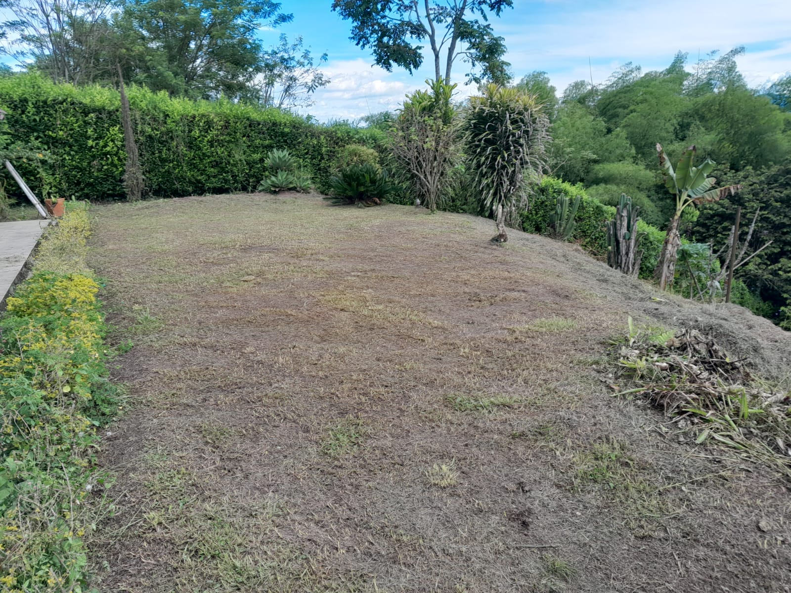 Foto de Finca en Venta en Via alcala, Pereira - 15 - 279064976