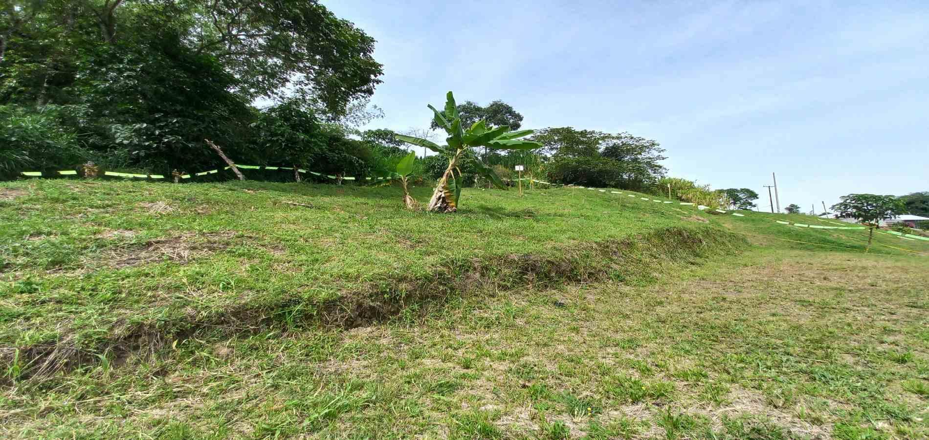 Foto de Lote / terreno en Venta en Combia, Pereira - 11 - 279069588