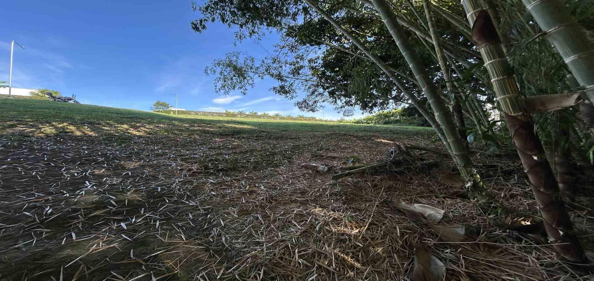 Foto de Lote / terreno en Venta en Cerritos, Pereira - 18 - 279069202