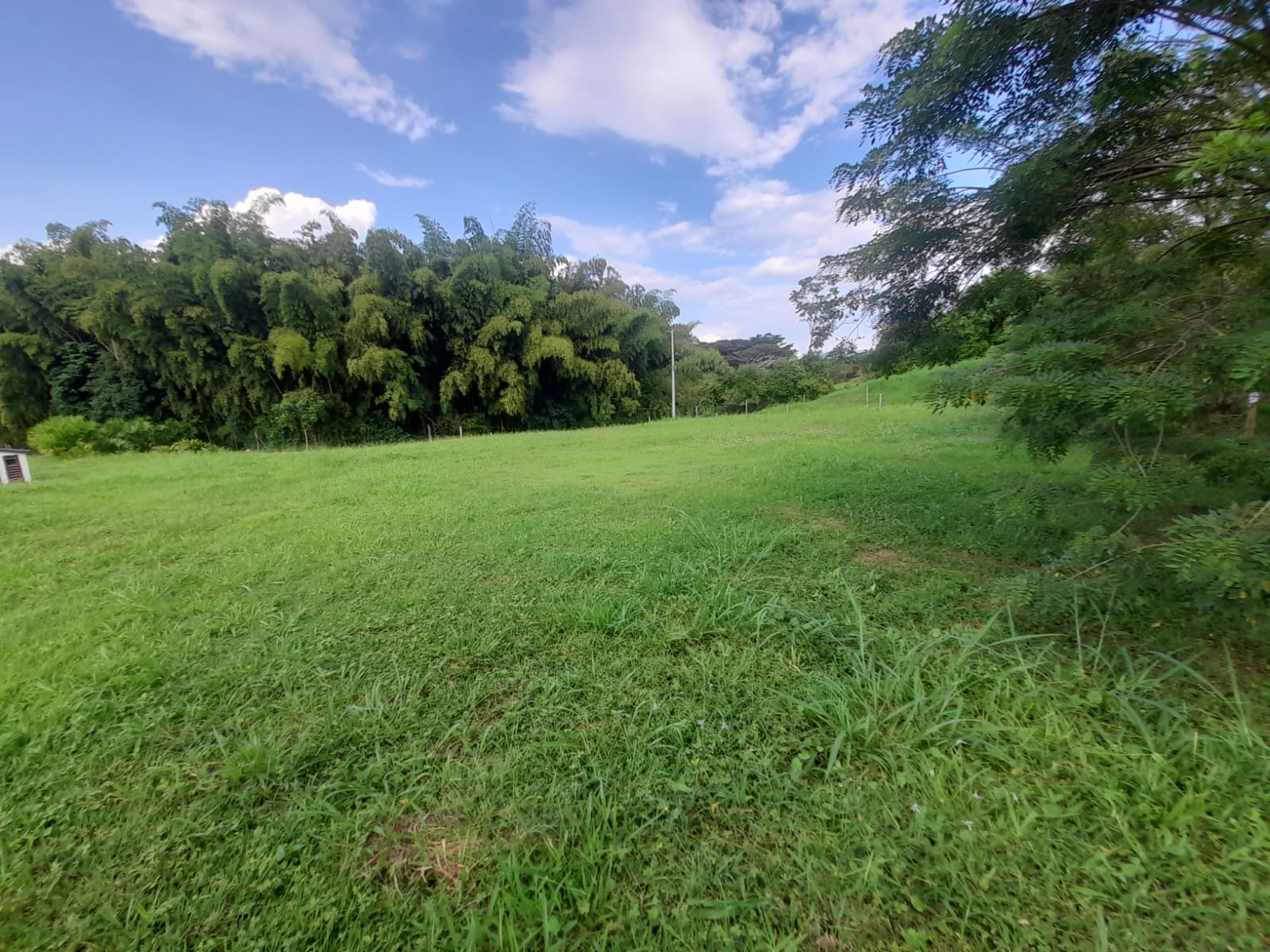 Foto de Lote / terreno en Venta en La floresta, Pereira - 1 - 279065198